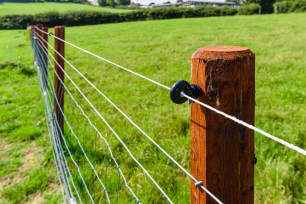 Animal-Fence Posts & Wire