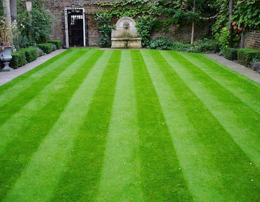 Lawn & Garden Care