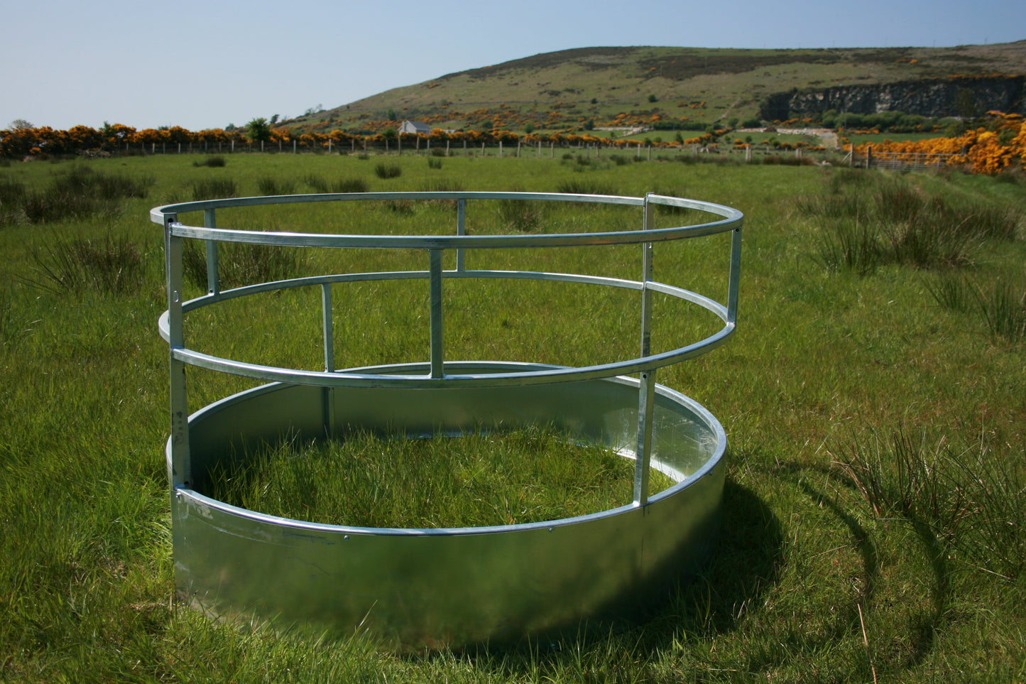 Horned Sheep feeder