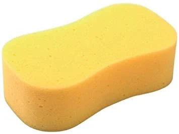 Jumbo Sponge